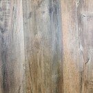 Anthropology (25561)